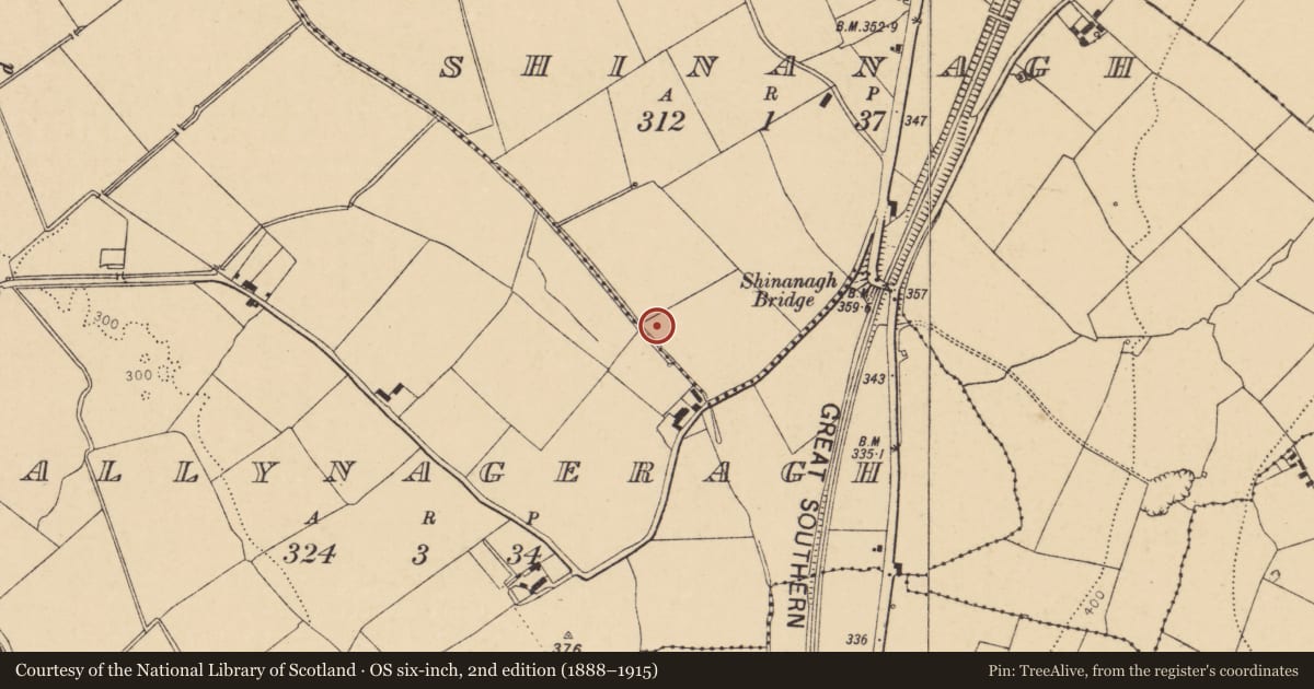 Ordnance Survey six-inch map, 2nd edition (1888–1915) covering the location of Fulacht fia, Shinanagh, County Cork, with a pin at the register's coordinates