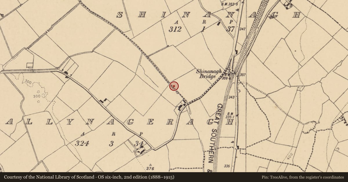 Ordnance Survey six-inch map, 2nd edition (1888–1915) covering the location of Fulacht fia, Shinanagh, County Cork, with a pin at the register's coordinates
