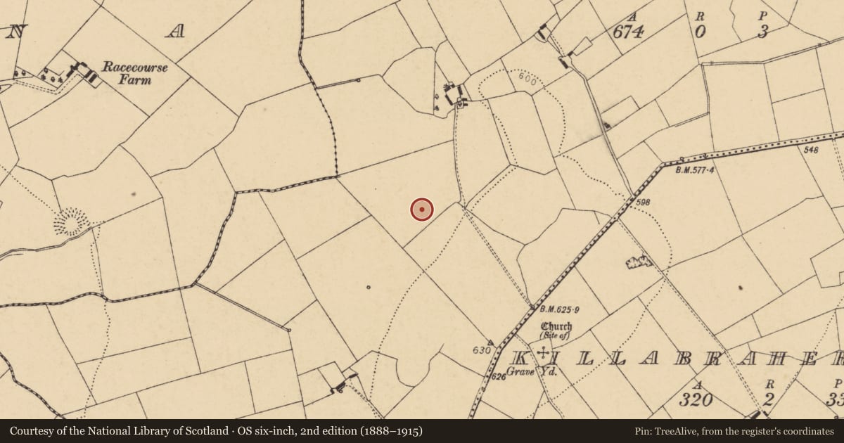 Ordnance Survey six-inch map, 2nd edition (1888–1915) covering the location of Fulacht fia, Killabraher North, County Cork, with a pin at the register's coordinates