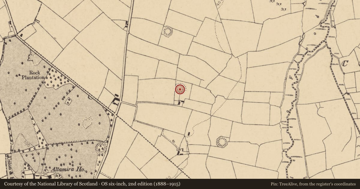 Ordnance Survey six-inch map, 2nd edition (1888–1915) covering the location of Souterrain, Moyge, County Cork, with a pin at the register's coordinates