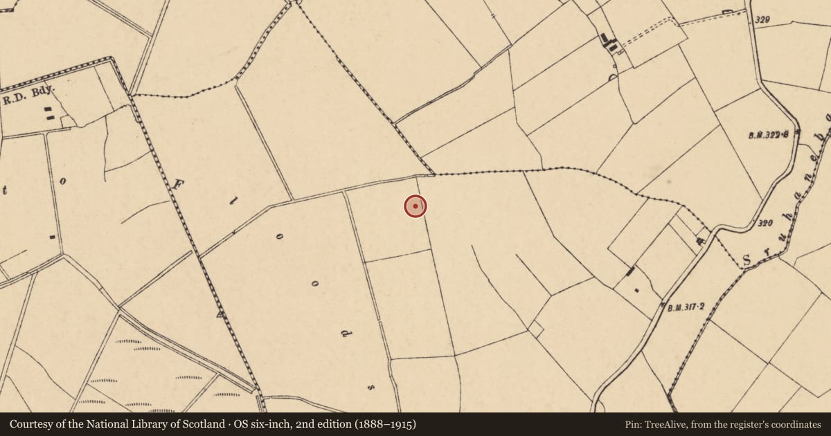 Ordnance Survey six-inch map, 2nd edition (1888–1915) covering the location of Fulacht fia, Coolcaum, County Cork, with a pin at the register's coordinates