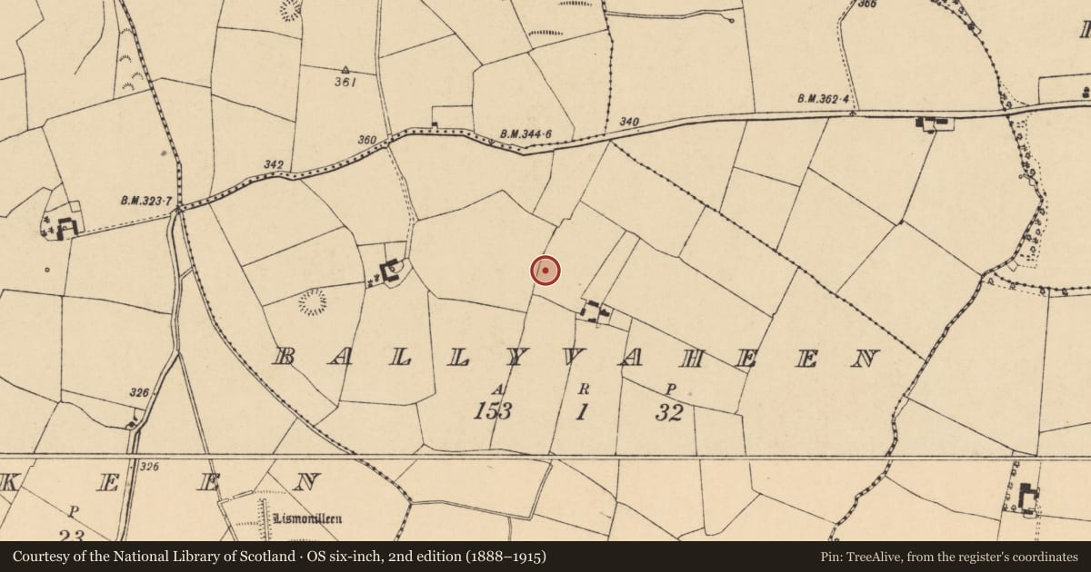 Ordnance Survey six-inch map, 2nd edition (1888–1915) covering the location of Bullaun stone, Ballyvaheen, County Cork, with a pin at the register's coordinates