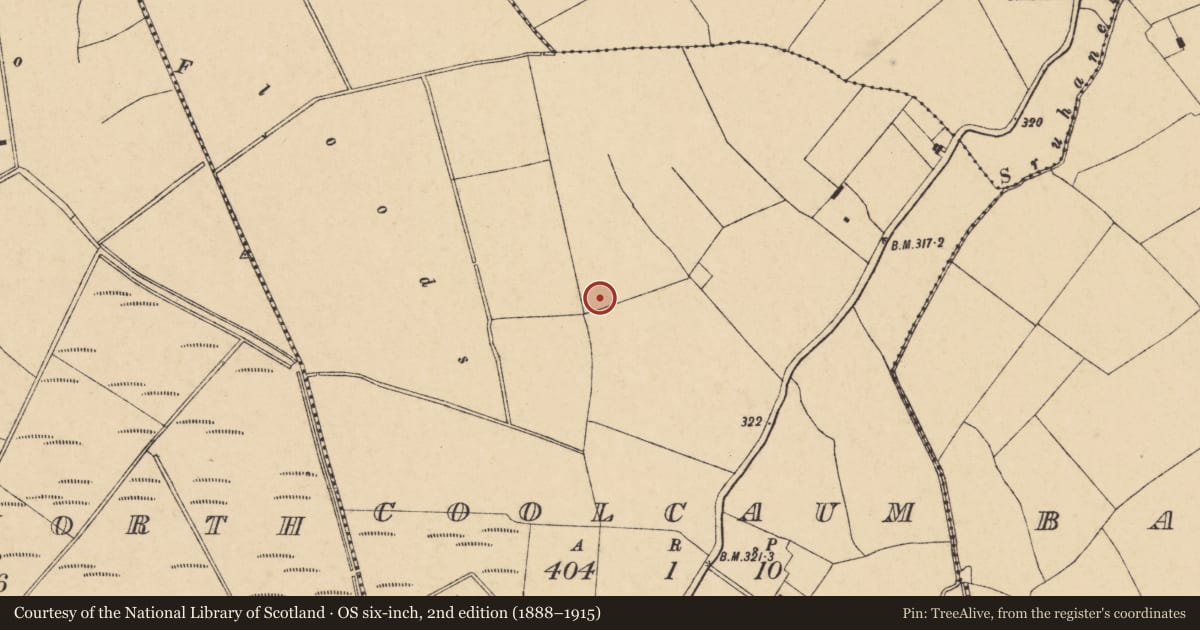 Ordnance Survey six-inch map, 2nd edition (1888–1915) covering the location of Castle - unclassified, Coolcaum, County Cork, with a pin at the register's coordinates