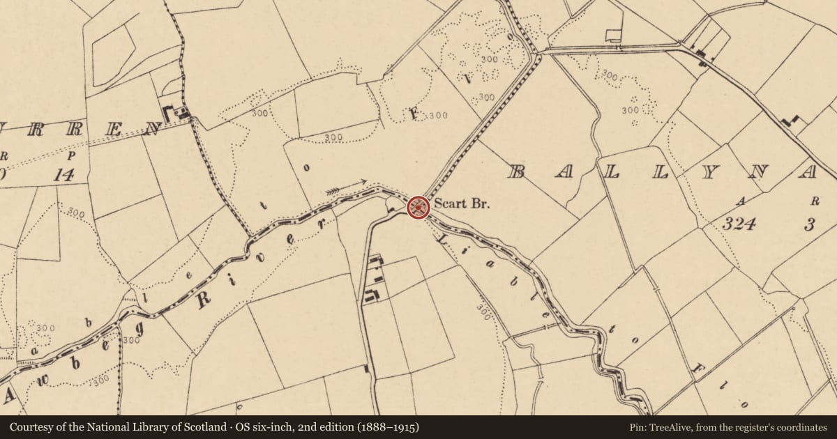 Ordnance Survey six-inch map, 2nd edition (1888–1915) covering the location of Bridge, Ballindillanig, Caherconnor, County Cork, with a pin at the register's coordinates