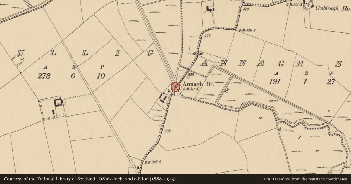 Ordnance Survey six-inch map, 2nd edition (1888–1915) covering the location of Bridge, Annagh South, Cullig, County Cork, with a pin at the register's coordinates