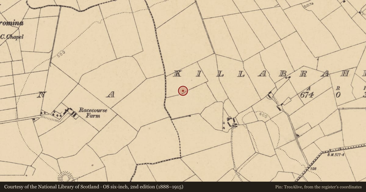 Ordnance Survey six-inch map, 2nd edition (1888–1915) covering the location of Fulacht fia, Killabraher North, County Cork, with a pin at the register's coordinates