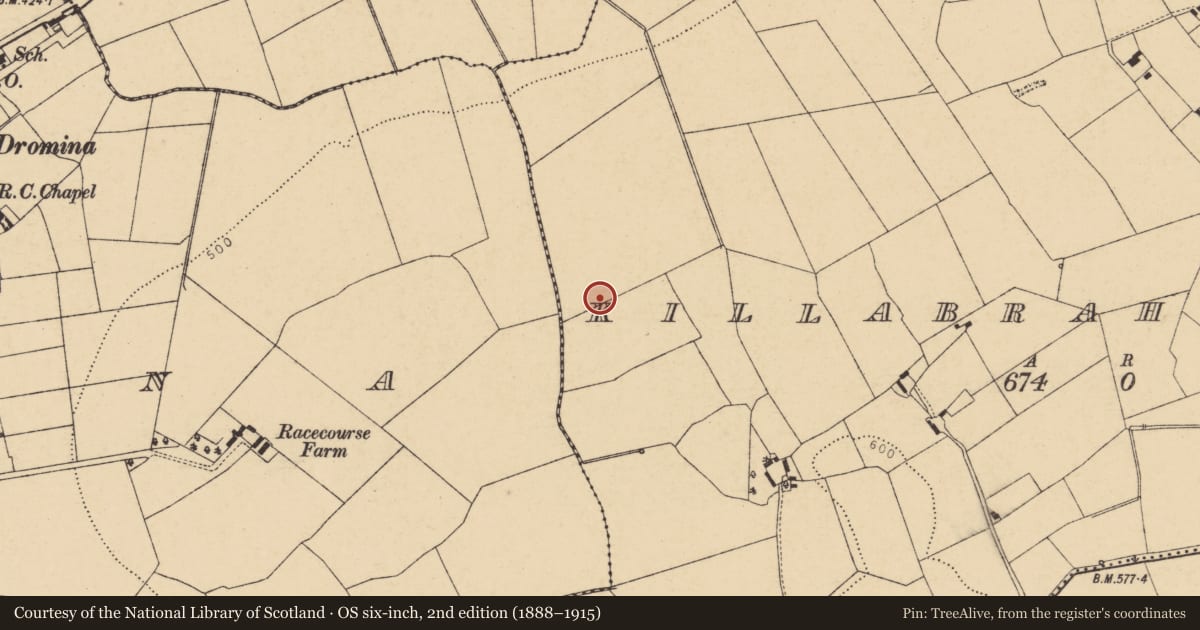 Ordnance Survey six-inch map, 2nd edition (1888–1915) covering the location of Fulacht fia, Killabraher North, County Cork, with a pin at the register's coordinates