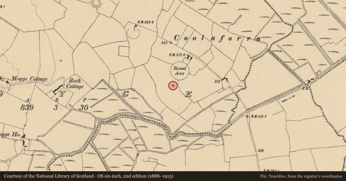 Ordnance Survey six-inch map, 2nd edition (1888–1915) covering the location of Enclosure, Moyge, County Cork, with a pin at the register's coordinates
