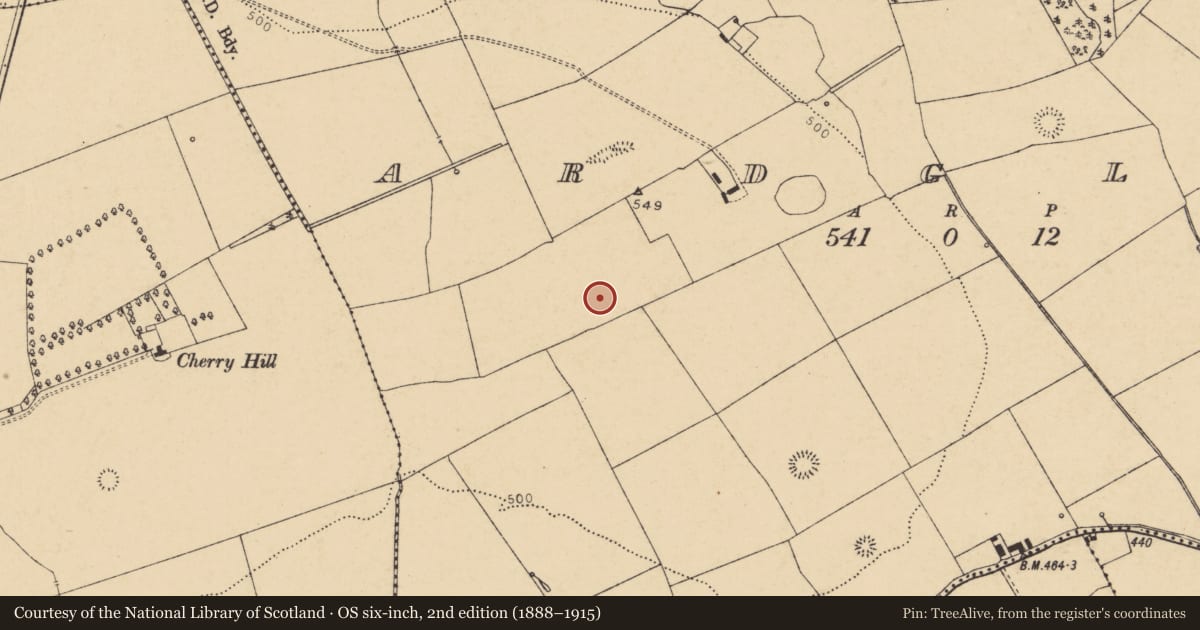 Ordnance Survey six-inch map, 2nd edition (1888–1915) covering the location of Enclosure, Ardglass (Orrery and Kilmore By., Shandrum Par.), County Cork, with a pin at the register's coordinates