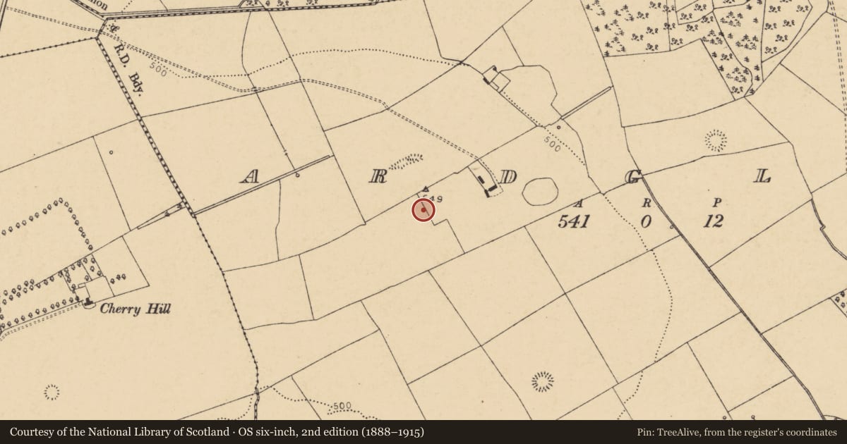 Ordnance Survey six-inch map, 2nd edition (1888–1915) covering the location of Field system, Ardglass (Orrery and Kilmore By., Shandrum Par.), County Cork, with a pin at the register's coordinates