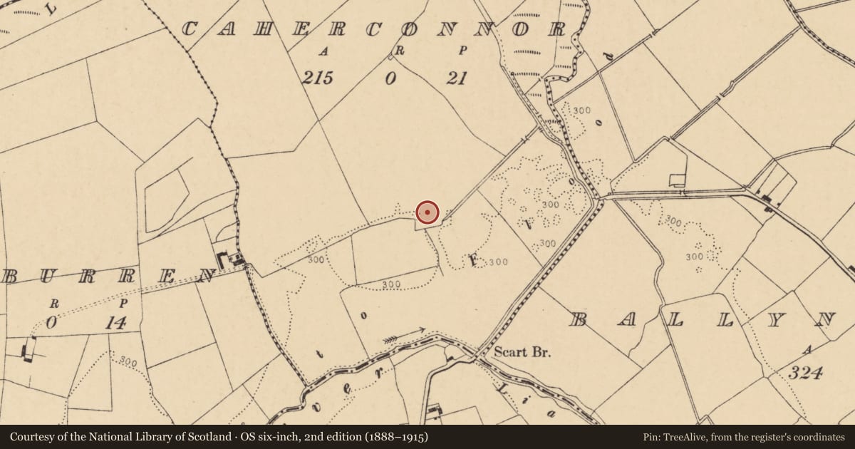 Ordnance Survey six-inch map, 2nd edition (1888–1915) covering the location of Moated site, Caherconnor, County Cork, with a pin at the register's coordinates