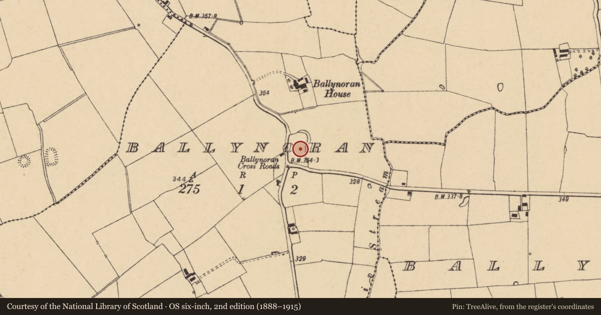 Ordnance Survey six-inch map, 2nd edition (1888–1915) covering the location of Castle - motte, Ballynoran, County Cork, with a pin at the register's coordinates