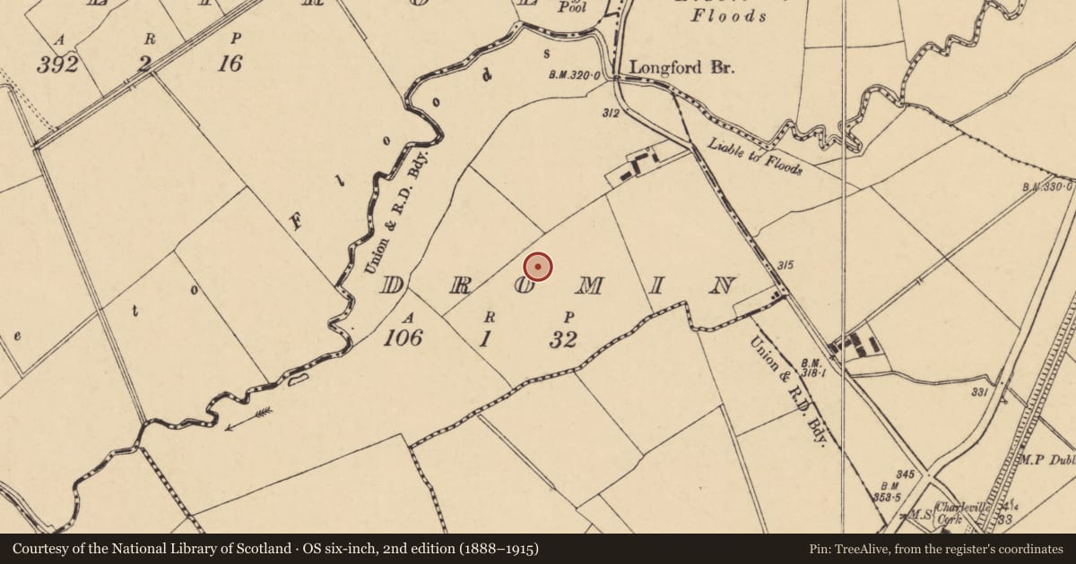 Ordnance Survey six-inch map, 2nd edition (1888–1915) covering the location of Ring-ditch, Dromin, County Cork, with a pin at the register's coordinates