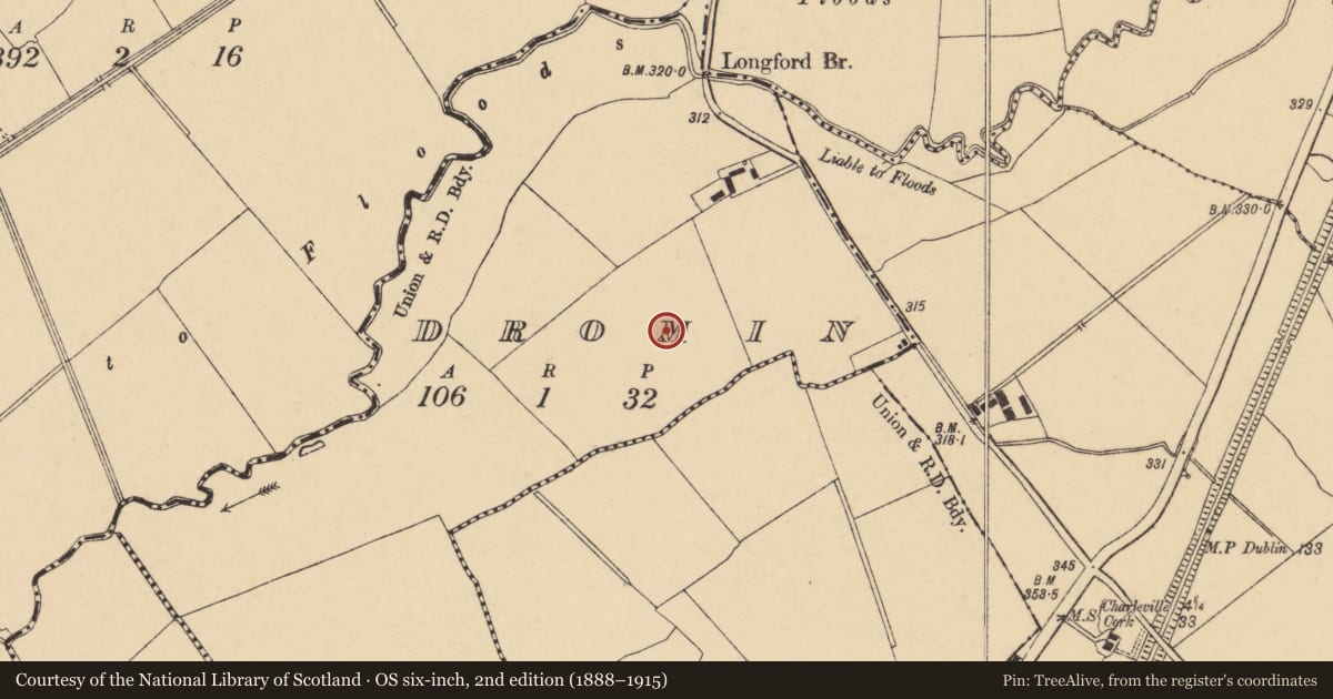 Ordnance Survey six-inch map, 2nd edition (1888–1915) covering the location of Ring-ditch, Dromin, County Cork, with a pin at the register's coordinates