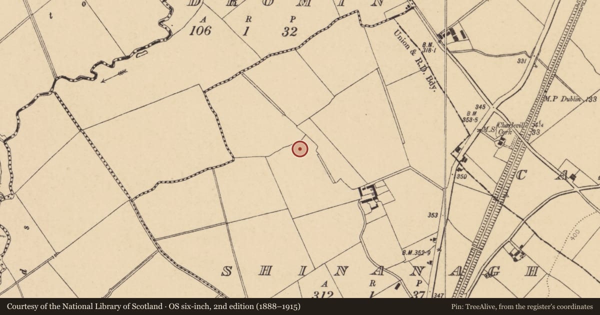 Ordnance Survey six-inch map, 2nd edition (1888–1915) covering the location of Enclosure, Shinanagh, County Cork, with a pin at the register's coordinates