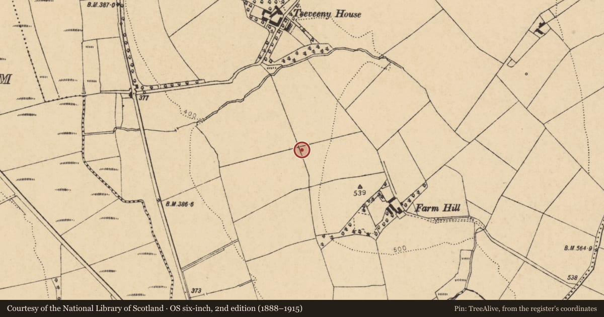 Ordnance Survey six-inch map, 2nd edition (1888–1915) covering the location of Burnt mound, Teeveeny, County Cork, with a pin at the register's coordinates