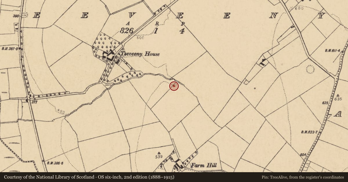 Ordnance Survey six-inch map, 2nd edition (1888–1915) covering the location of Burnt mound, Teeveeny, County Cork, with a pin at the register's coordinates