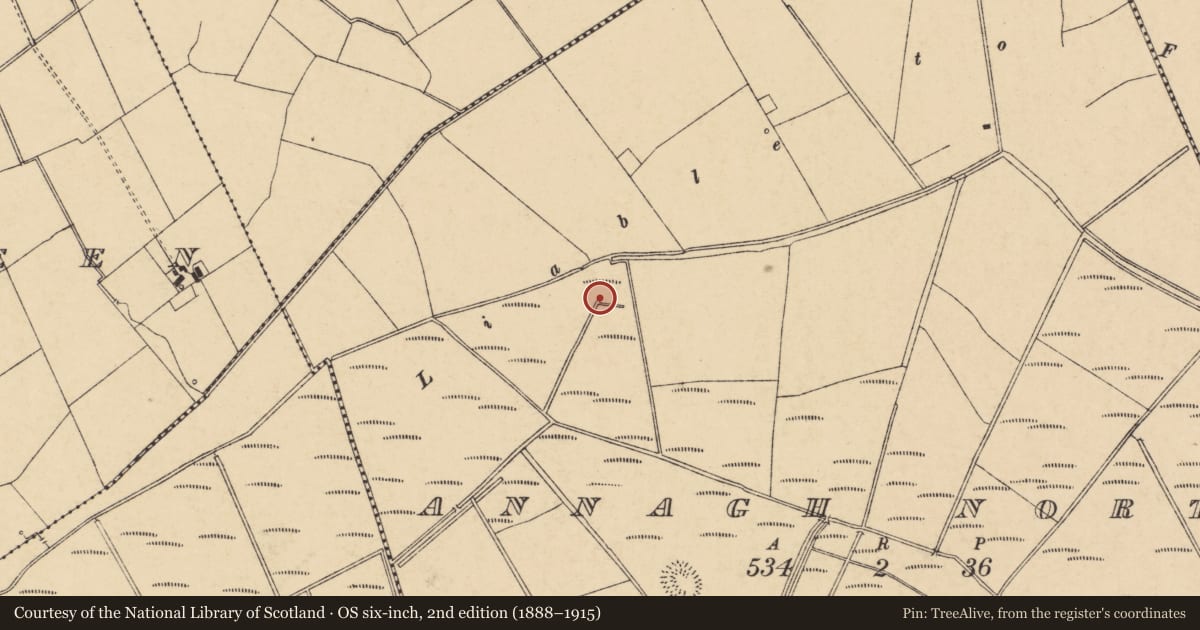 Ordnance Survey six-inch map, 2nd edition (1888–1915) covering the location of Burnt mound, Annagh North, County Cork, with a pin at the register's coordinates