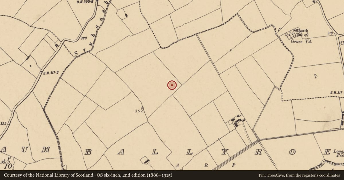 Ordnance Survey six-inch map, 2nd edition (1888–1915) covering the location of Enclosure, Ballyroe, County Cork, with a pin at the register's coordinates