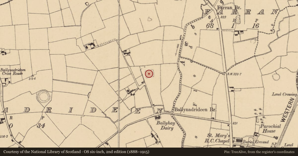 Ordnance Survey six-inch map, 2nd edition (1888–1915) covering the location of Moated site, Ballynadrideen, County Cork, with a pin at the register's coordinates