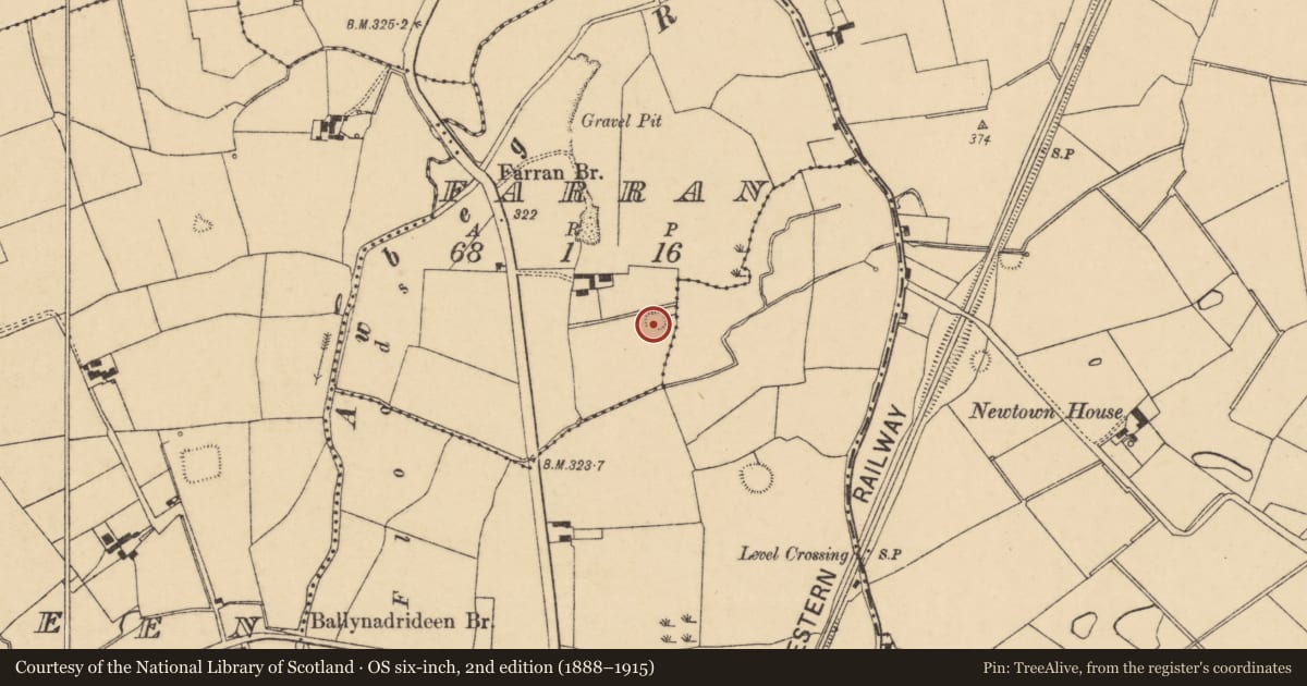 Ordnance Survey six-inch map, 2nd edition (1888–1915) covering the location of Ringfort - rath, Farran, County Cork, with a pin at the register's coordinates