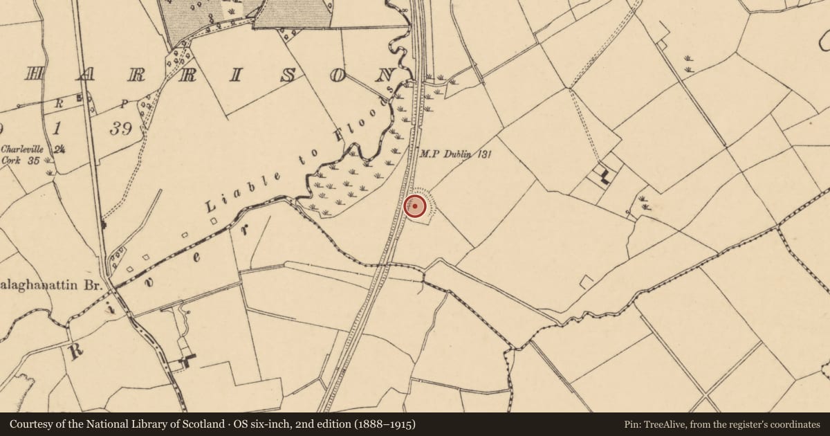 Ordnance Survey six-inch map, 2nd edition (1888–1915) covering the location of Ringfort - rath, Pruntus, County Cork, with a pin at the register's coordinates