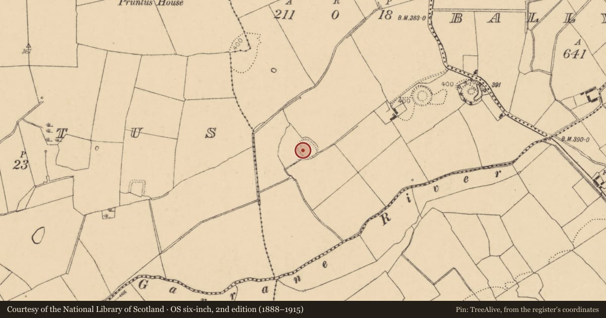 Ordnance Survey six-inch map, 2nd edition (1888–1915) covering the location of Ringfort - rath, Ardskeagh, County Cork, with a pin at the register's coordinates