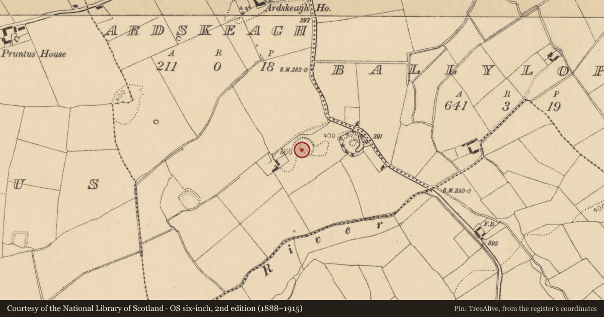 Ordnance Survey six-inch map, 2nd edition (1888–1915) covering the location of Ringfort - rath, Ardskeagh, County Cork, with a pin at the register's coordinates