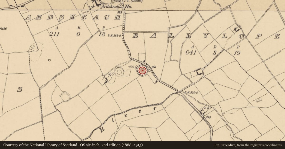Ordnance Survey six-inch map, 2nd edition (1888–1915) covering the location of Castle - motte, Ardskeagh, County Cork, with a pin at the register's coordinates