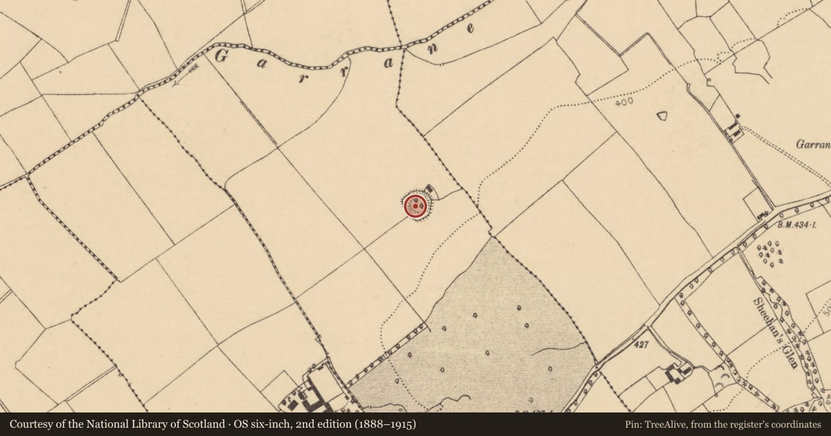 Ordnance Survey six-inch map, 2nd edition (1888–1915) covering the location of Ringfort - rath, Ballynaboola, County Cork, with a pin at the register's coordinates