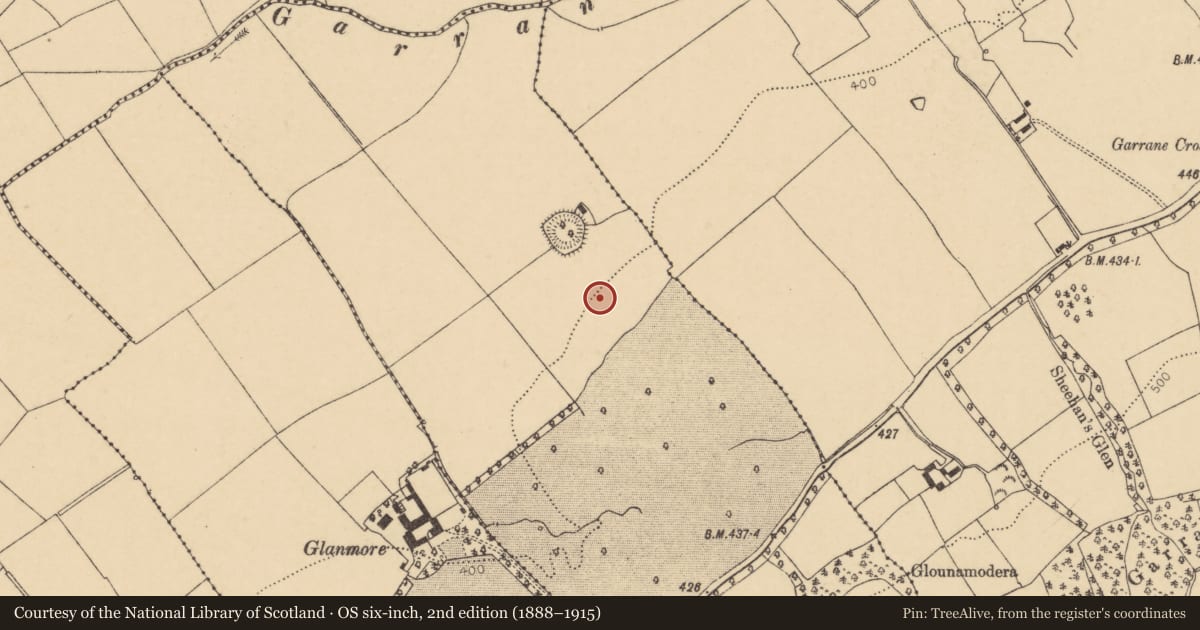 Ordnance Survey six-inch map, 2nd edition (1888–1915) covering the location of Cist, Ballynaboola, County Cork, with a pin at the register's coordinates