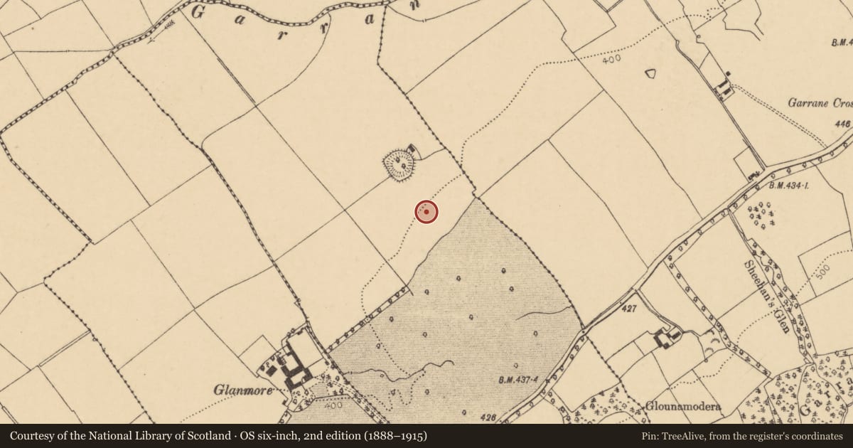 Ordnance Survey six-inch map, 2nd edition (1888–1915) covering the location of Standing stone, Ballynaboola, County Cork, with a pin at the register's coordinates