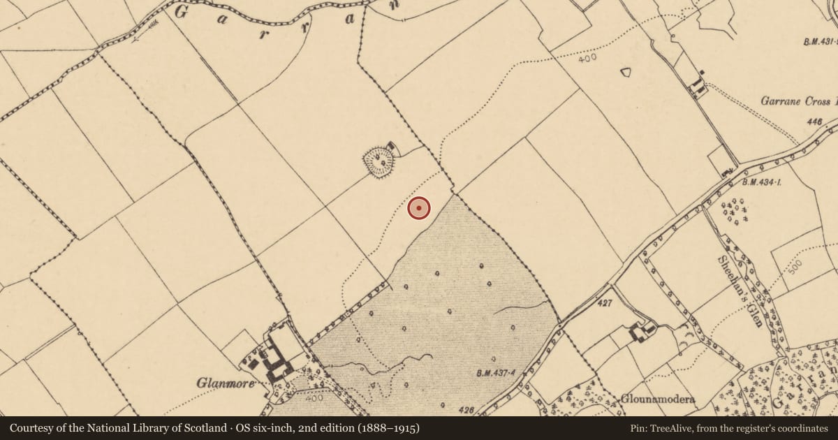 Ordnance Survey six-inch map, 2nd edition (1888–1915) covering the location of Cist, Ballynaboola, County Cork, with a pin at the register's coordinates