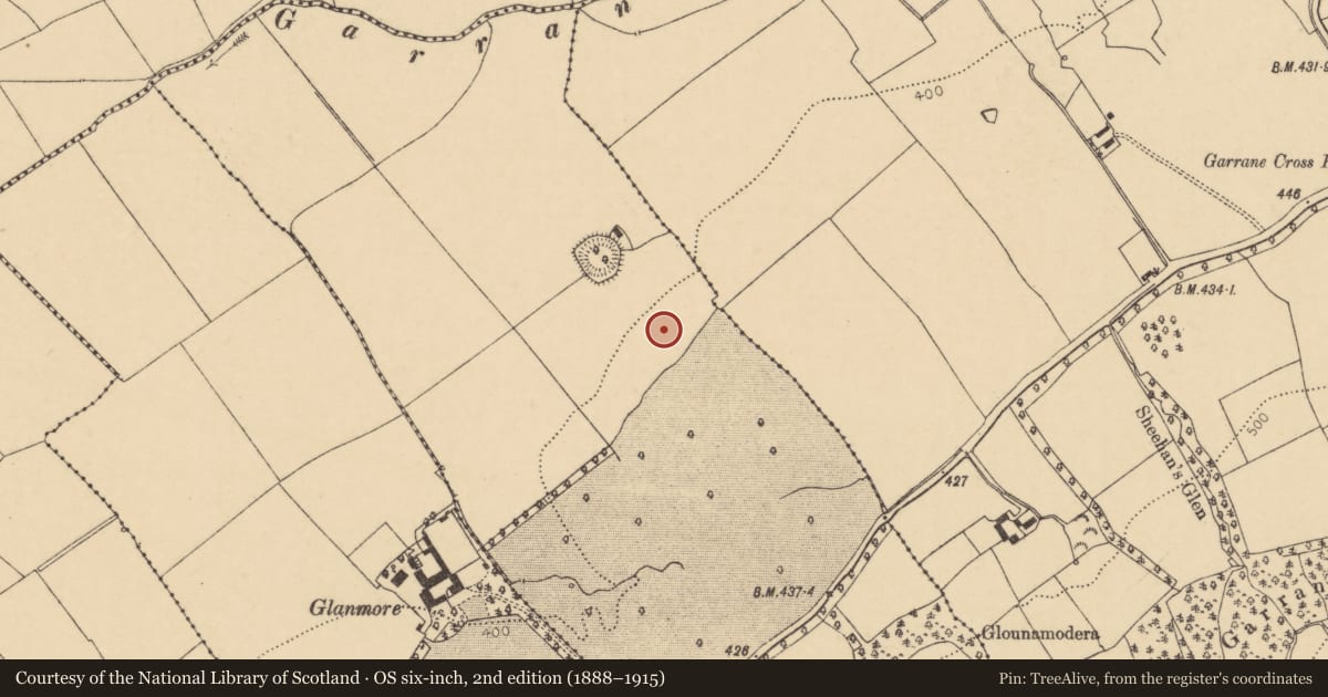 Ordnance Survey six-inch map, 2nd edition (1888–1915) covering the location of Cist, Ballynaboola, County Cork, with a pin at the register's coordinates