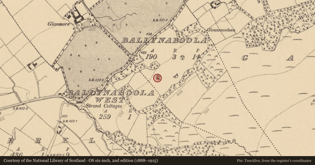 Ordnance Survey six-inch map, 2nd edition (1888–1915) covering the location of Designed landscape - tree-ring, Ballynaboola, County Cork, with a pin at the register's coordinates
