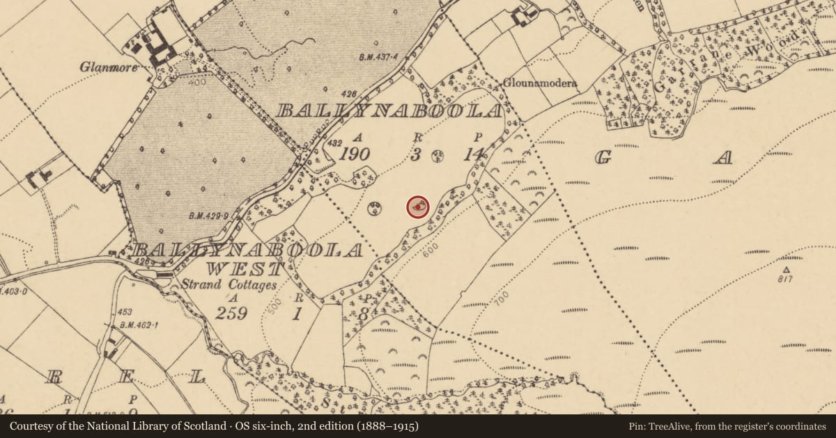 Ordnance Survey six-inch map, 2nd edition (1888–1915) covering the location of Designed landscape - tree-ring, Ballynaboola, County Cork, with a pin at the register's coordinates