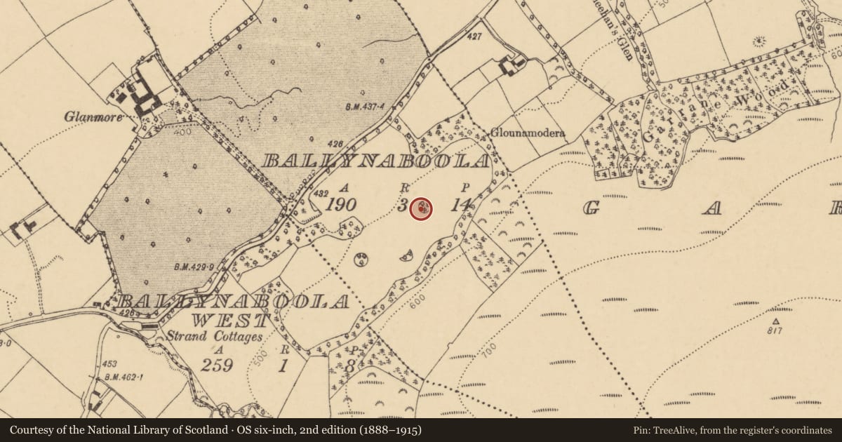 Ordnance Survey six-inch map, 2nd edition (1888–1915) covering the location of Designed landscape - tree-ring, Ballynaboola, County Cork, with a pin at the register's coordinates