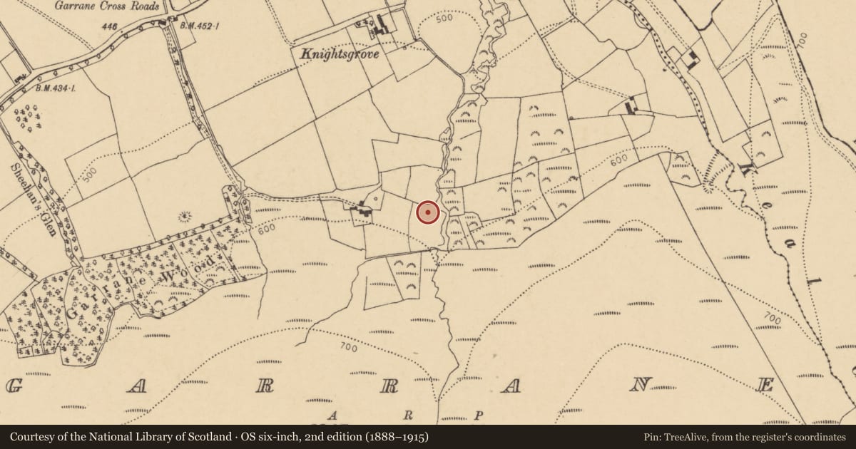 Ordnance Survey six-inch map, 2nd edition (1888–1915) covering the location of Fulacht fia, Garrane, County Cork, with a pin at the register's coordinates