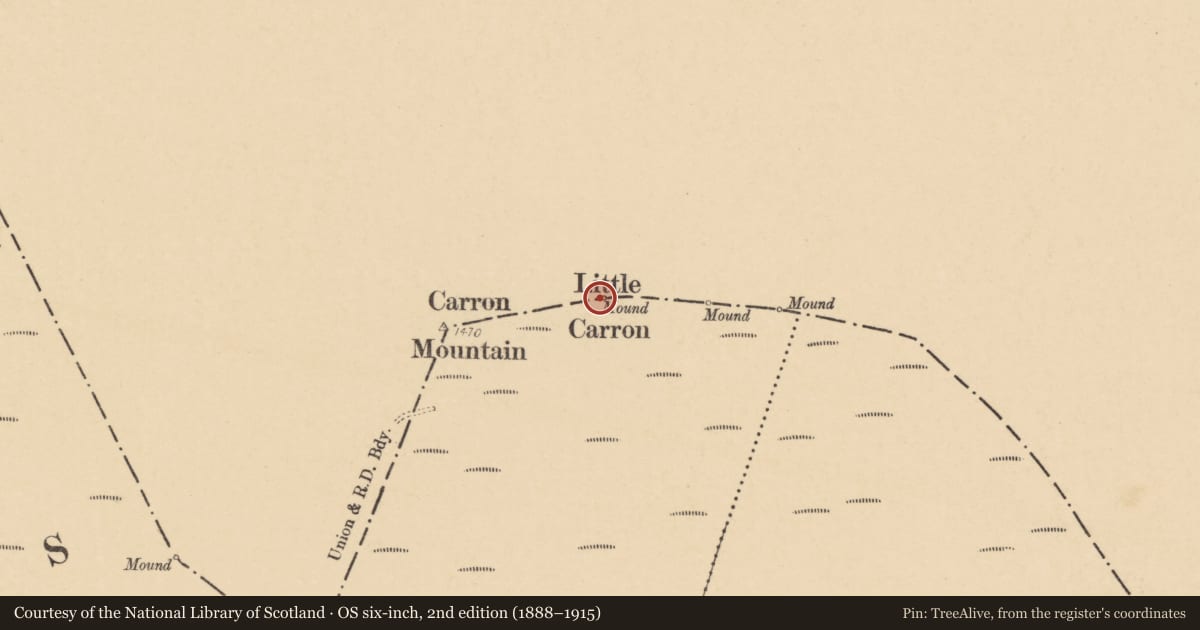 Ordnance Survey six-inch map, 2nd edition (1888–1915) covering the location of Cairn - unclassified, Streamhill East, County Cork, with a pin at the register's coordinates