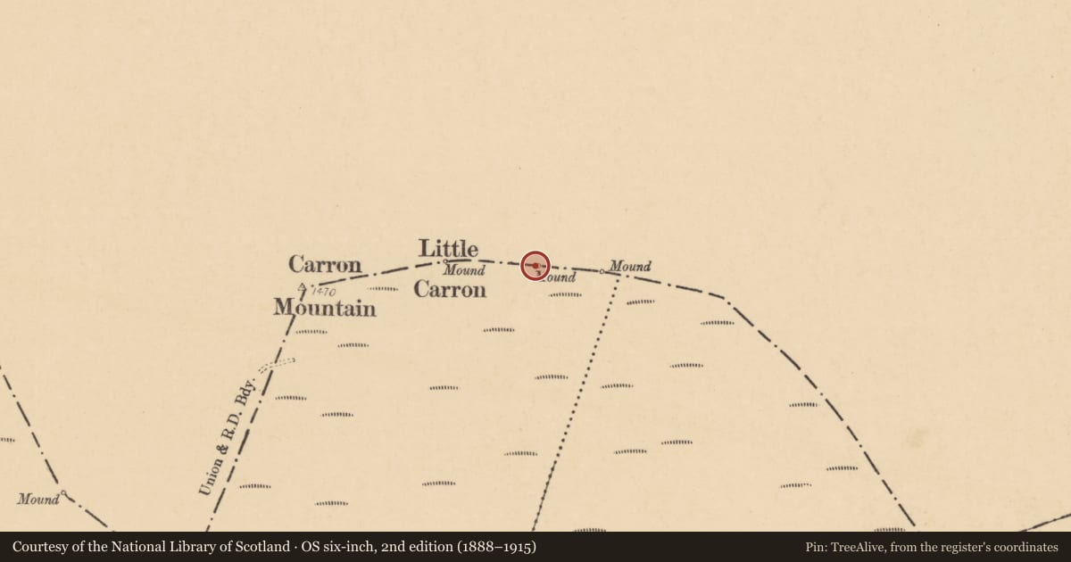 Ordnance Survey six-inch map, 2nd edition (1888–1915) covering the location of Cairn - boundary cairn, Streamhill East, County Cork, with a pin at the register's coordinates