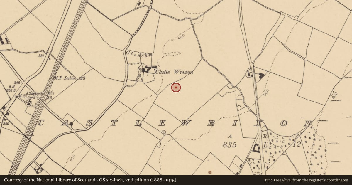 Ordnance Survey six-inch map, 2nd edition (1888–1915) covering the location of Castle - unclassified, Castlewrixon South, County Cork, with a pin at the register's coordinates