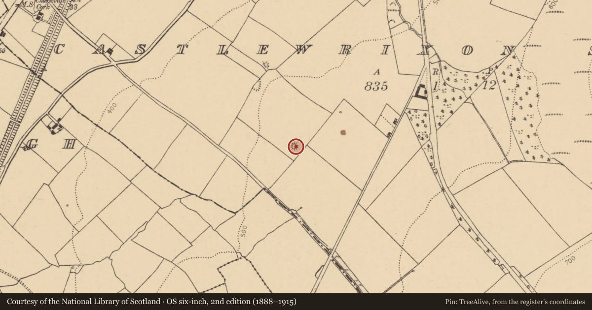 Ordnance Survey six-inch map, 2nd edition (1888–1915) covering the location of Barrow - ring-barrow, Castlewrixon South, County Cork, with a pin at the register's coordinates