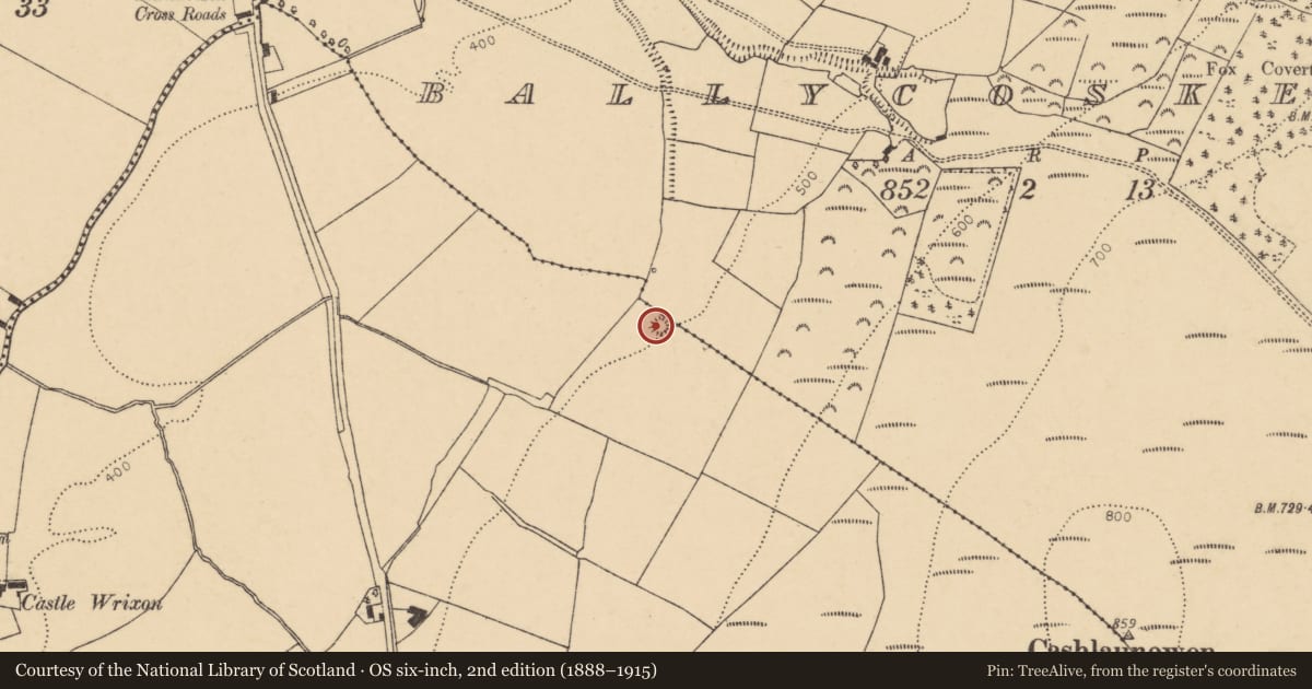 Ordnance Survey six-inch map, 2nd edition (1888–1915) covering the location of Barrow - ring-barrow, Castlewrixon South, County Cork, with a pin at the register's coordinates