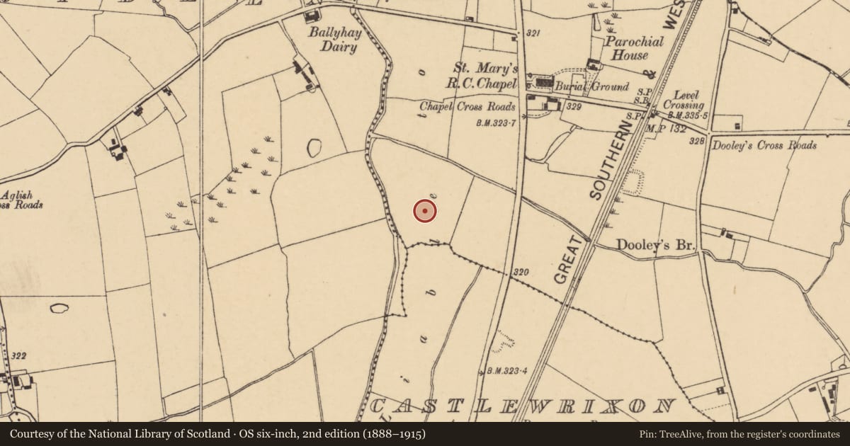 Ordnance Survey six-inch map, 2nd edition (1888–1915) covering the location of Ringfort - rath, Ballycoskery, County Cork, with a pin at the register's coordinates