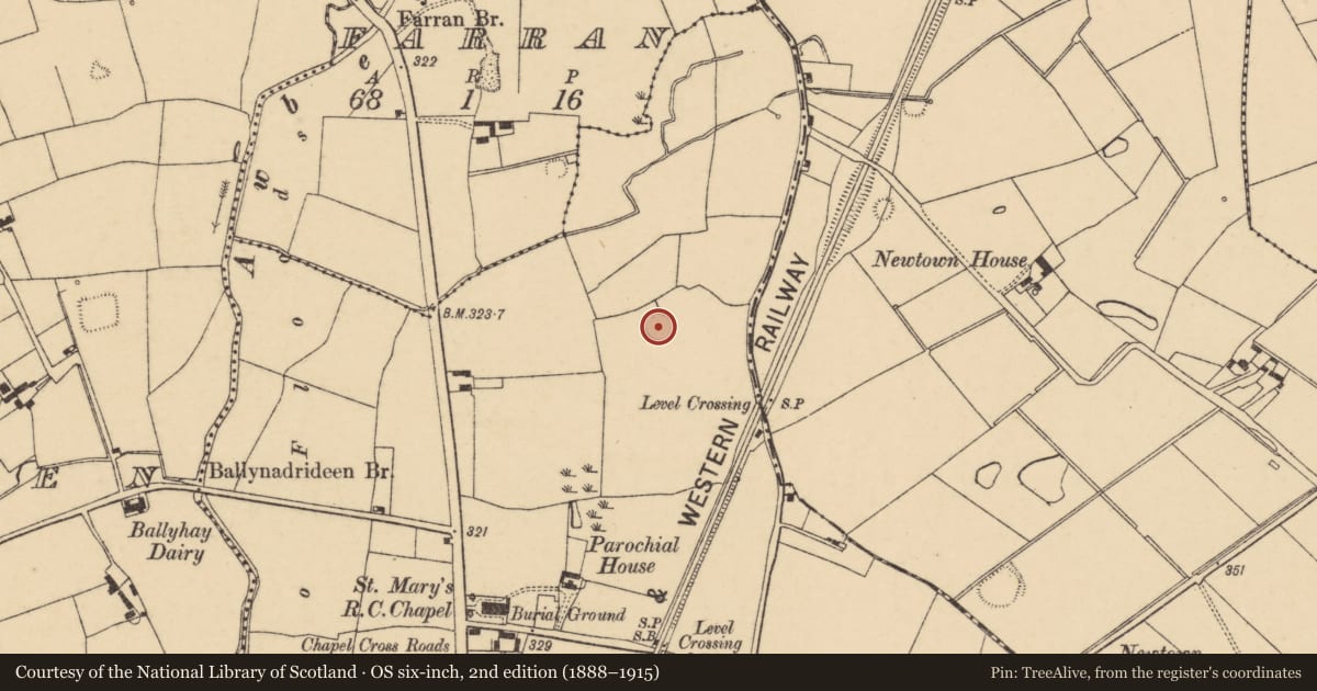 Ordnance Survey six-inch map, 2nd edition (1888–1915) covering the location of Ringfort - rath, Ballycoskery, County Cork, with a pin at the register's coordinates
