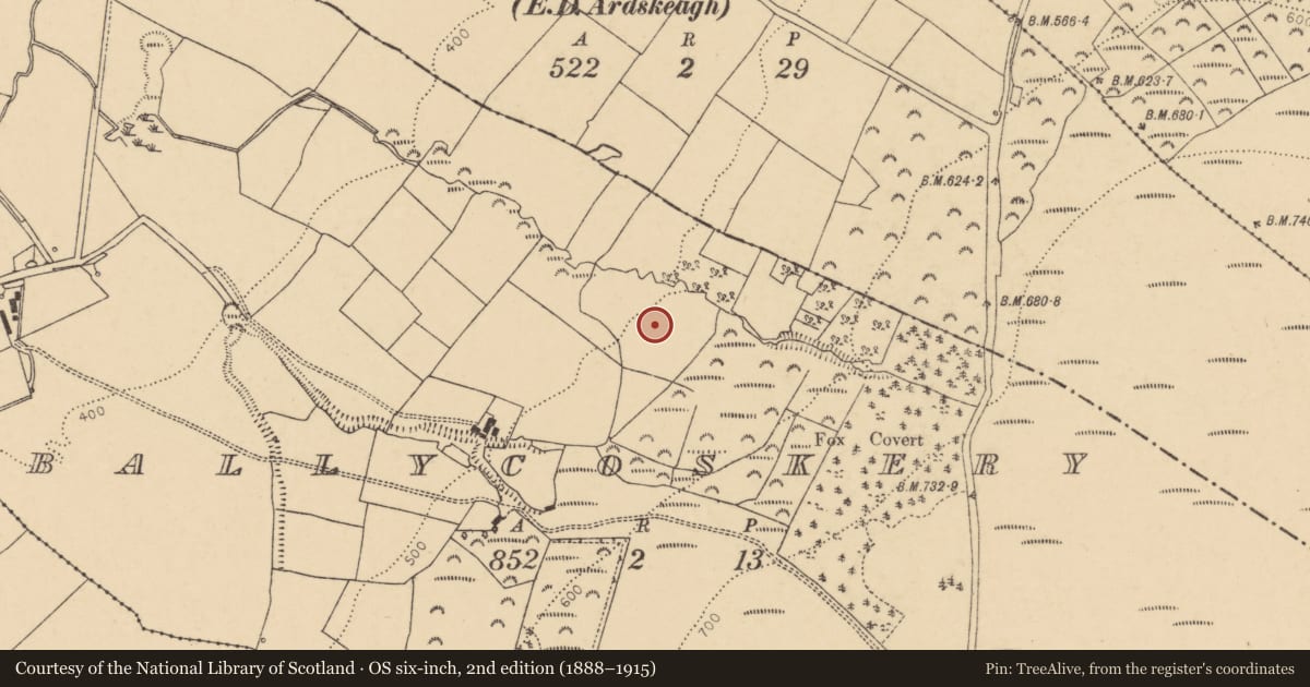 Ordnance Survey six-inch map, 2nd edition (1888–1915) covering the location of Fulacht fia, Ballycoskery, County Cork, with a pin at the register's coordinates