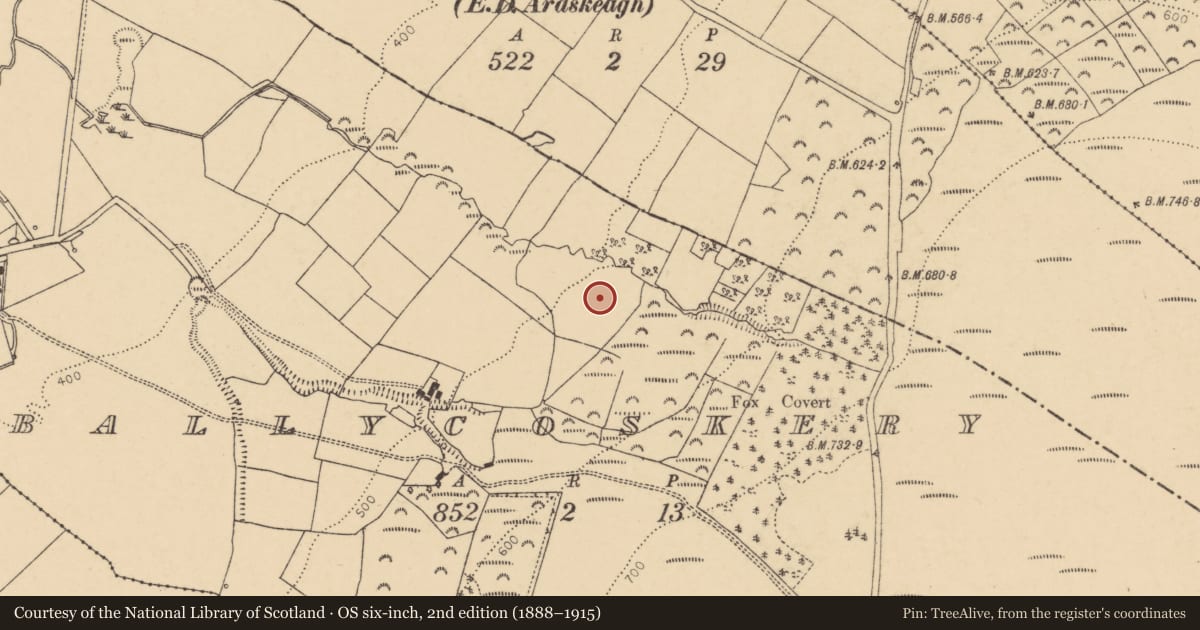 Ordnance Survey six-inch map, 2nd edition (1888–1915) covering the location of Fulacht fia, Ballycoskery, County Cork, with a pin at the register's coordinates