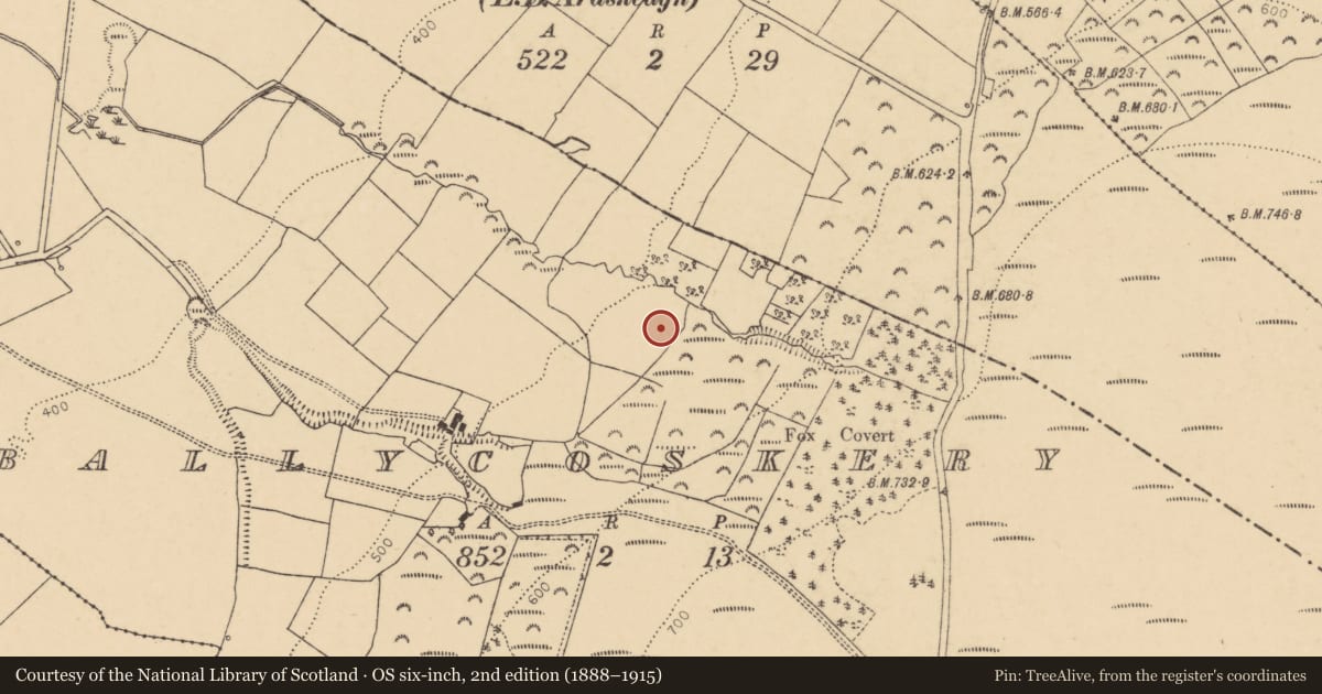 Ordnance Survey six-inch map, 2nd edition (1888–1915) covering the location of Fulacht fia, Ballycoskery, County Cork, with a pin at the register's coordinates