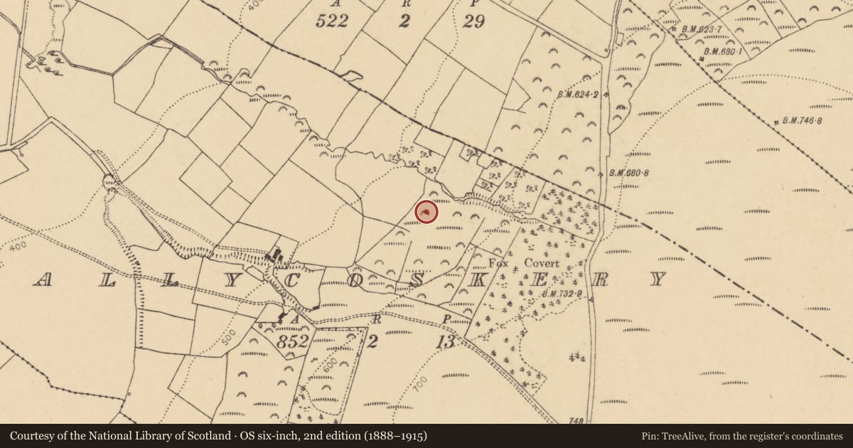 Ordnance Survey six-inch map, 2nd edition (1888–1915) covering the location of Fulacht fia, Ballycoskery, County Cork, with a pin at the register's coordinates