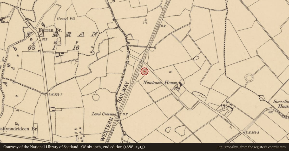 Ordnance Survey six-inch map, 2nd edition (1888–1915) covering the location of Ringfort - rath, Newtown (Fermoy By., Ballyhay Par.), County Cork, with a pin at the register's coordinates